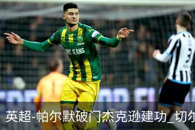 英超-帕尔默破门杰克逊建功 切尔西2-1纽卡斯尔